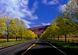 Trust Luke's Auto Service in Verona, NJ, for all your spring car maintenance.